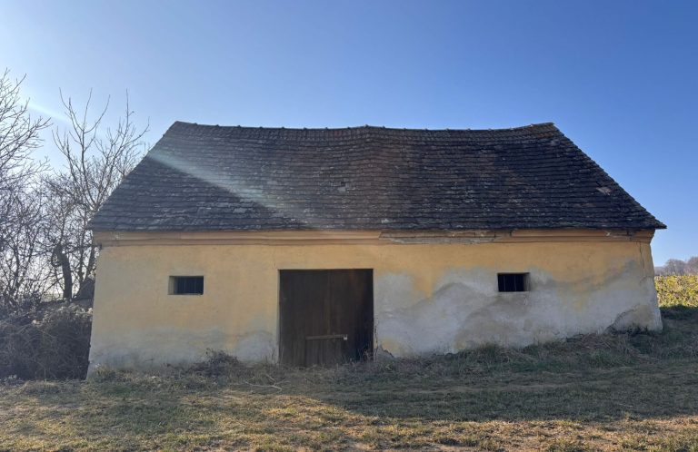 Presshaus in Niederösterreich Gelbes, einfaches Presshaus mit Satteldach und Weinkeller in ländlicher Umgebung.